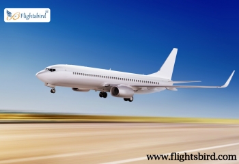 Grab Cheap Air Flights Ticket From SFO to Denver At Flightsbird.